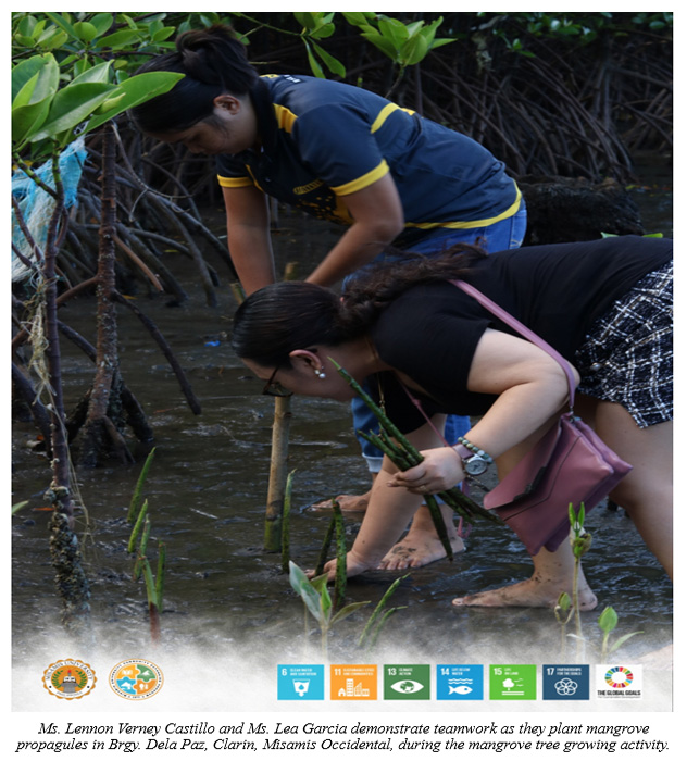 3,000 Mangrove Seedlings Planted as MU Joins Tree-Growing Activity for the International Day for the Conservation of the Mangrove Ecosystem